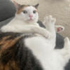 abbymarshalonis
